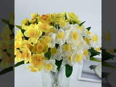 Un bouquet de vraies fleurs de narcisse pour un salon frais et propre et la décoration de la table à manger, art