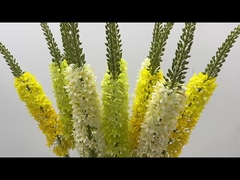 Décoration de l'herbe de la queue de renard Simulation de la fleur de la maison du salon de la queue de cheval Fleur volante de l'hirondelle de l'herbe Fl