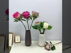 Simulation de couleur printanière scène de prise de vue du roi fleur empereur fleur maison fausse fleur décoration mariage