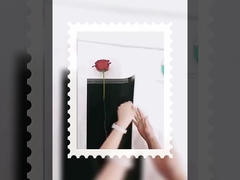 Bouquet unique de déesse petit emballage transparent opp film imperméable enveloppé en papier de fleurs diy mate