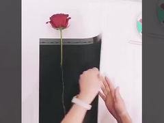 Le papier d'emballage pour la fête des mères avec une seule fleur, le sac d'emballage pour un seul bouquet de roses, l'emballage de fleurs de œillets