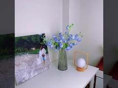 Les produits visés au paragraphe 1 ne doivent pas être présentés dans des conditions différentes de celles prévues à l'article 1er.