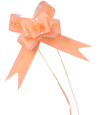 Un bon prix. Amour imprimé vous entrave le ruban 5cm x 75cm d'arc de traction d'organza de cadeau en ligne