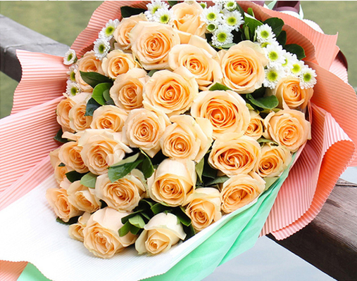 Un bon prix. La couleur simple a ridé 50cmx70cm de papier imperméabilisent non pour l'emballage de fleur en ligne