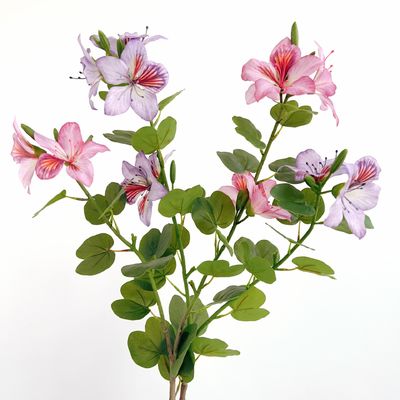 acheter Fleur de bauhinia artificielle en plastique chinois pour la décoration de la maison et de l'hôtel fabrication en ligne
