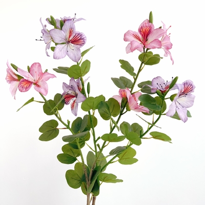 Un bon prix. Fleur de bauhinia artificielle en plastique chinois pour la décoration de la maison et de l'hôtel en ligne