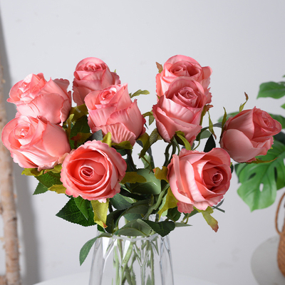 Un bon prix. Simulation de la décoration du salon et des accessoires photographiques pour les mariages en rose en ligne