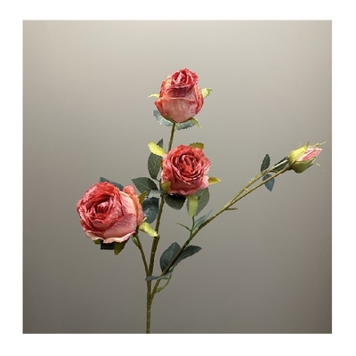 Un bon prix. Décoration de maison, décoration de mariage en ligne