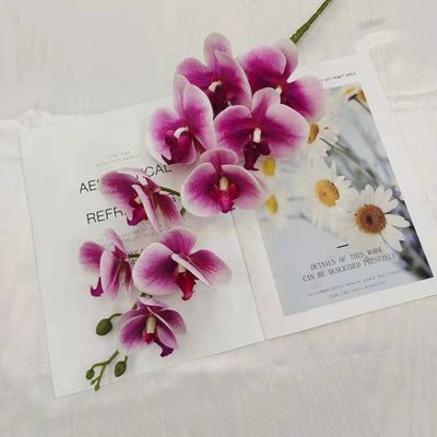 Un bon prix. Simulation de décoration de toile de fond de mariage Phalaenopsis en ligne