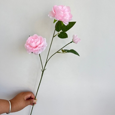Un bon prix. Simulation de mariage en pivoine et simulation de décoration de maison en rose en ligne