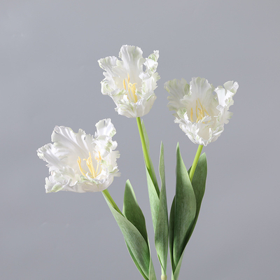 Un bon prix. Aménagements pour la maison, bouquets de fleurs artificielles, accessoires de studio, 5 tulipes à double pétale en ligne