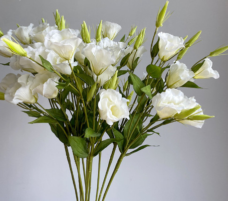 Un bon prix. 3 pièces de fleurs de Campanula simulées, ornements pour la décoration de la maison, fleurs de soie, accessoires de photographie, guides de route de mariage, décor, faux bouquets de fleurs en ligne