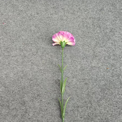 Un bon prix. Des œillets à fleurs artificielles, des objets de décoration intérieure, des bouquets de mariage en plein air, des décorations de scènes, la vente en gros de fleurs artificielles et de plantes vertes en ligne