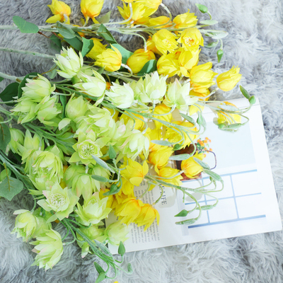 Un bon prix. Des fleurs de simulation nordiques haut de gamme, des cloches à vent, des fleurs de soie, des fleurs fausses, des meubles pour la maison, des foyers, des salons, des arrangements floraux de bureau, des fleurs de soie, des décorations de mariage en ligne