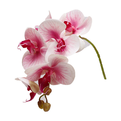 Simulation plastique 3D décoration de mariage de papillons orchidées, accessoires de pétales, fleurs fausses, petits faisceaux de fleurs, fleurs simulation papillons orchidées