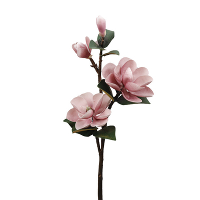Un bon prix. Simulation transfrontalière de la magnolie en mousse EVA pour le ménage intérieurs décorations de fleurs fausses en ligne