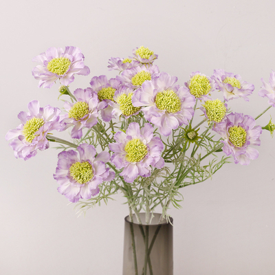 Un bon prix. Roue de simulation Pico de chrysanthème pin Cordyceps maison Faux Placement de fleurs accessoires Décoration fleur de maïs Simulation fleur plastique en ligne