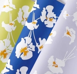 Un bon prix. Papier d'emballage à l'épreuve de l'eau en plumes d'iris en ligne
