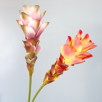 Un bon prix. Simulation de fleurs, fleurs de gingembre, fleurs de lotus, impression 3D, fleurs texturées, décoration intérieure, décoration de salle de modèle, accessoires de décoration de mariage, bouquet en ligne