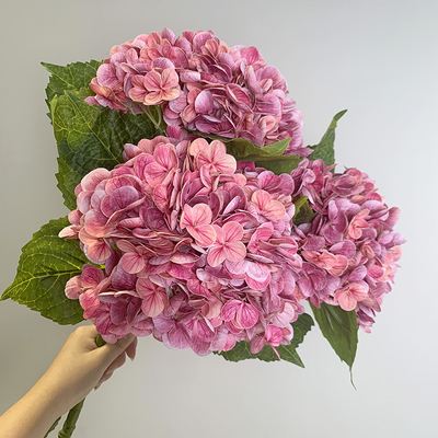 Un bon prix. Fleurs d'hortensia biomimétiques, fleurs simulées, touches hydratantes, bouquets d'hortensia, décorations de table de salle à manger, décorations de fleurs de mariage en ligne