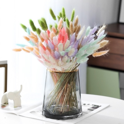 Un bon prix. Ins site web bouquet de fleurs rouges fleur de vie éternelle décoration de salon de la maison ornement queue de lapin herbe queue de chien herbe séchée fleur en ligne