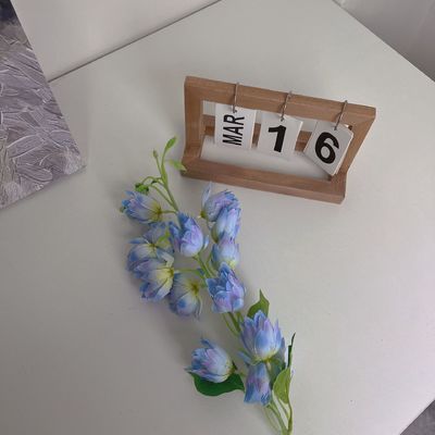 Un bon prix. Fleurs artificielles, fleurs en grappes, Phalaenopsis, fleurs artificielles, fleurs de soie, fleurs d'affichage à domicile, décorations de mariage, lys de la vallée, fleurs de cloche à vent en ligne