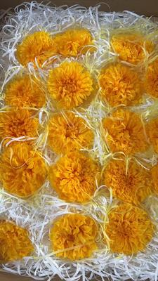 Un bon prix. Partysu Specialty Paper Packaging for Sunset Golden Autumn Orange Partysu DIY Flower Arrangement en ligne