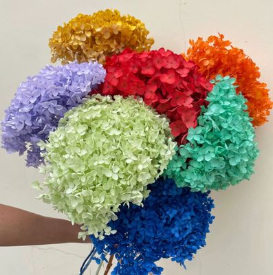 Un bon prix. Fleur conservée Anna Hydrangea cadeau romantique de la Saint-Valentin matériel de bouquet fait à la main en ligne